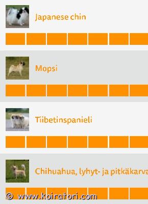 ostetaan sekarotu www.koiratori.com-ilmoitus Etsinnässä pienikokoinen koira loppuelämän osaavaan kotiin. Saa olla myös kääpiökokoinen kooltaan. Voi olla iältään seniori, aikuinen tai nuori koira. Lyhyt viikoittainen yksinoloaika. Allergiat ei haittaa. Sekarotuisuudella tai puhdasrotuisuudella ei ole merkitystä meille. Voi olla vaikeaa ongelmakoira sillä niistä on kokemusta. On tässä talossa ainoa koira. Ympäristö on otollinen kaikin puolin koiran pitämiselle.