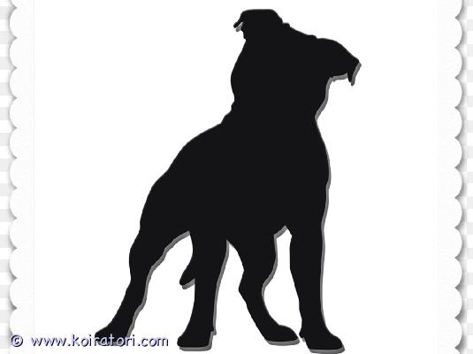 ostetaan amstaffi www.koiratori.com-ilmoitus Ostetaan molossi pentu englanninbulldogin kaveriksi! pitbull, amstaff,staffi yms. Löytyy roduntuntemusta ja rakastava loppuelämän koti tarjolla. 